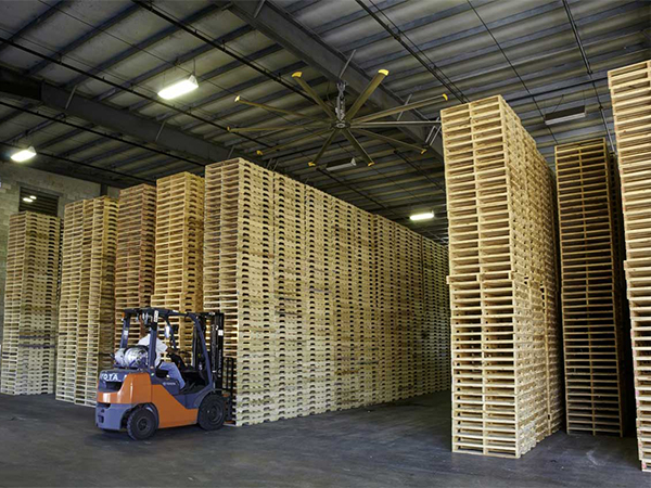 Bán Pallet gỗ và nhựa uy tín giá rẻ ở Cần Đước Long An