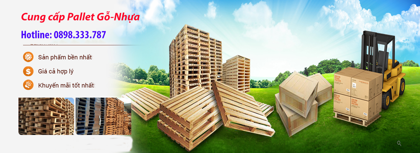 Bán Pallet gỗ và nhựa uy tín giá rẻ ở Tân Hưng Long An