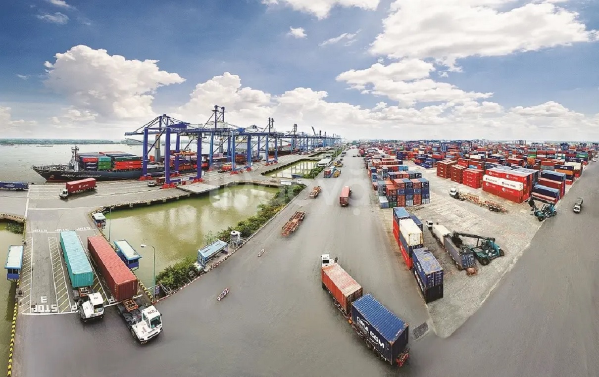 Dịch vụ Hải quan trọn gói tại TP.HCM: An tâm mọi lô hàng